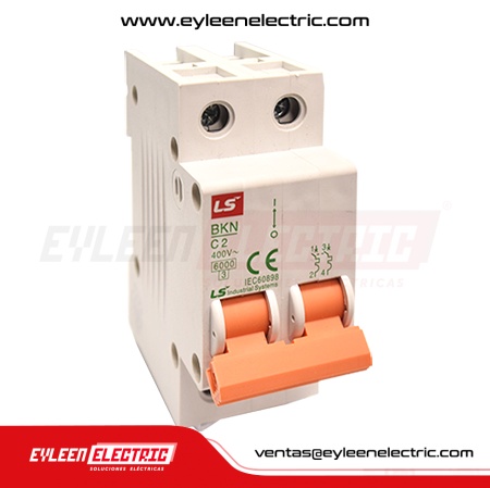 INTERRUPTOR TERMOMAGNETICO BKN, 2X6A, 6kA/415V