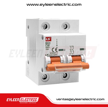 INTERRUPTOR TERMOMAGNETICO BKH, 2X100A, 6kA/415V